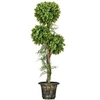 Image de Buis artificiel topiaire artificielle 3 boules H. 115 cm pot style antique inclus