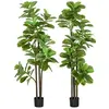 Image de Ficus Lutea artificiels 1,80H m - lot de 2 ficus artificiels - 120 feuilles réalistes par pied - pot inclus noir vert