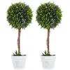 Image de Lot de 2 plantes artificielles avec fleurs de lavande arbre artificiel tronc et pot inclus - hauteur 60 cm intérieur et extérieur vert