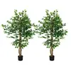 Image de Lot de 2 plantes artificielles arbres ficus H.1,50 m tronc branches liane lichen feuilles grand réalisme pot inclus