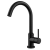 Image de Robinet cuisine noir mat EDEN