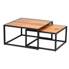 Image de Lot de 2 Tables Basses Gigognes Métal et Bois - GHITA -