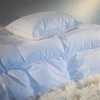 Image de Selenia Oreillers 30% duvet ELINE 60 x 60 cm