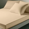 Image de 3S. x Tertio Drap-housse coton - Beige - Ecru 180 x 200 cm