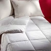 Image de Selenia Couette Naturelle Très Légère 30% Duvet 220 gr/m² 200 x 200 cm