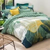 Image de Becquet Drap plat ZENGA Vert 270 x 300 cm