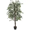Image de Plante artificielle feuillage panaché 185 cm