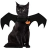Image de Déguisement chien ou chat ailes de chauve-souris costume
