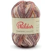 Image de Pelote de Laine Mérino Phil Baby & Socks - Chaleur et Douceur pour Petits Pieds(...) - Imprimé Jacquard Marron