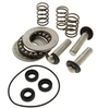 Image de Kit pistons + joints + roulements - nettoyeur haute pression
