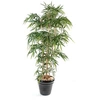 Image de Plante artificielle haute gamme Spécial extérieur / Bambou artificiel coloris vert - Hauteur 120 cm
