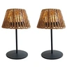 Image de 2 Lampes de table TWINS RAFFY H24cm