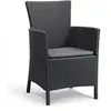 Image de Fauteuil de jardin Allibert by IOWA En résine imitation rotin tressé Coloris :