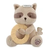 Image de Peluche Raton Laveur avec Anneau de Dentition Refrigerant