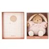 Image de Patapouf Lapin Rose - 17 cm