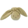 Image de Balle Hochet Lapin Lapinoo Vert