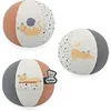 Image de Mon Ballon Chaton Multicolore