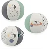 Image de Mon ballon chiot multicolore