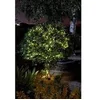 Image de Guirlande solaire e térieure LUCIOLE 200 leds chaud 21.9m Blanc