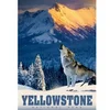 Image de Puzzle de 500 pièces Alipson Puzzle Loup Hurlant Bleu 33,5x23,2x4,6 cm A2402348