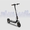 Image de 100 EVO - Trottinette Electrique Adulte - Pneu Cross 10" Gonflable - Batterie 25.2V - Autonomie Jusqu'a 25 km - Poids 16Kg