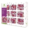 Image de Coffret Perles Bois Alphabet