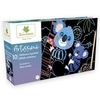 Image de Artissimo Scratch Art Bébés Animaux