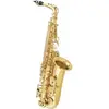 Image de Saxophone Alto d'étude A420-II - Série Prime