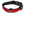 Image de Collier lumineux rouge EYENIMAL Light Collar USB Rechargeable Taille M