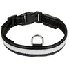 Image de Eyenimal Collier De Chien Usb Rgb