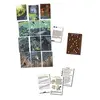 Image de Chasse au tresor 2 aventures mythologiues