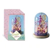 Image de Magic Fairies - Cloche Lumineuse A Creer