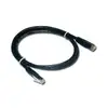 Image de MCL Samar CABLE RJ45 CAT 6 Armoured - 2M Black