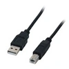 Image de MCL - Câble USB - USB (M) pour USB type B (M) - USB 2.0 - 1.8 m - noir