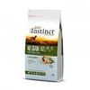 Image de True Instinct No Grain Medium Maxi Adult - Saumon - 12kg