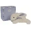 Image de Lapin Bonbon Petit Modèle Bleu