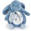Image de Veilleuse musicale lapin doudou - Bleu -