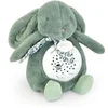 Image de Veilleuse musicale Lapin vert