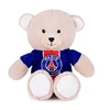 Image de Peluche Ours Bandes Hechter PSG 23cm