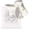 Image de Doudou 25 Ans - Ours Argent Doudou Collector