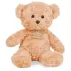 Image de Peluche Ours câlin 21 cm Miel