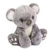 Image de Peluche Koala 25cm