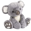 Image de Peluche koala 35 cm