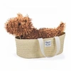 Image de Peluche Chien Fox Ivoire Les Petits Nomades