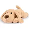 Image de Les Allonges Stretch  - Chien Beige 40 Cm