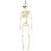 Image de Squelette articule 40 cm Halloween