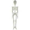 Image de Squelette phosphorescent 1m50