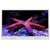 Image de Tv led portable 32 pouces sur batterie 82 cm avec assistant vocal et pvr 32dmd22hw -
