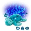 Image de Tranquil Turtle  -  Aqua Rechargeable