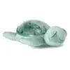 Image de Veilleuse tortue aquatique rechargeable Vert